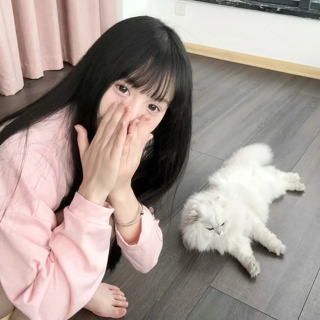 花咲舞无法沉默第三季